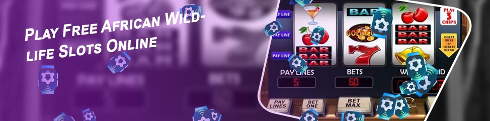 Free spin poker slots