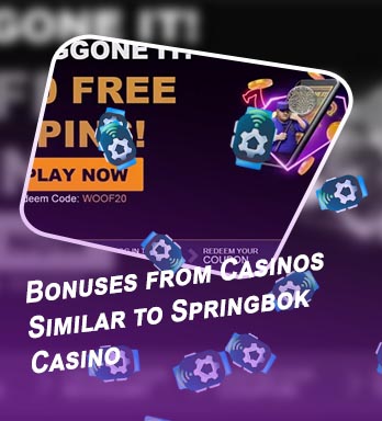 Springbok casino bonus codes